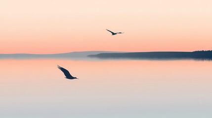Naklejka premium Seagulls Soaring at Sunset over Calm Lake.
