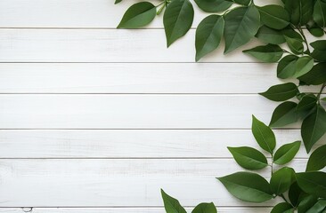 Fresh green leaves on a white wooden background