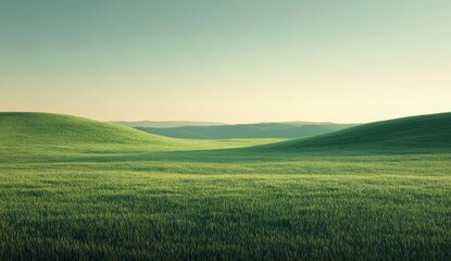 Obraz premium green field and blue sky