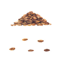 Heap of malt, barley grain for the production of beer, ale. Whole grain, pile of malt watercolor realistic painted illustration isolated from the background for food, alcohol drink label design print.