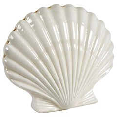 White elegant sea jacobean scallop shell isolated on transparent background