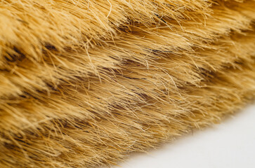 Closeup of whitewash brush fibers for traditional wall painting