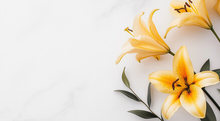 Obraz premium Uma vibrante flor de lírio amarelo adorna lindamente um fundo branco limpo, exibindo a elegância e o charme do lírio amarelo em um contraste impressionante, perfeito para vários projetos de design.