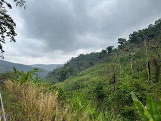 clouds over the mountains