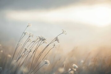 Obraz premium Pastel-toned nature captures the essence of spring's beauty.