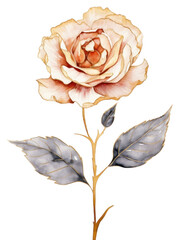 PNG  Watercolor flower with gold outline sketch line stroke painting petal plant.