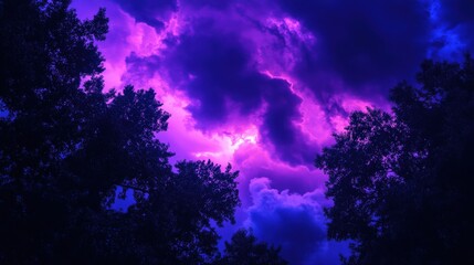 Naklejka premium Nightfall storm: gradient transitioning from deep navy to fuchsia sky with silhouettes of trees framing the scene