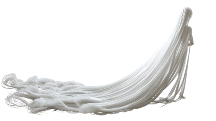 Tail end sight of a damsel with elongated charming strands in a white attire isolated on transparent background, detailed photo, png 