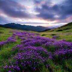 Vibrant purple flowers in a scenic mountainous landscape at sunset.