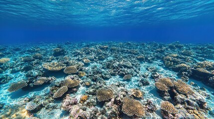 Vibrant coral reef teeming with life, sunlight filtering through the clear water