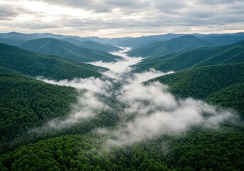 Fototapeta premium Aerial view of forested mountains with fog rolling through the valley on a cloudy day landscape