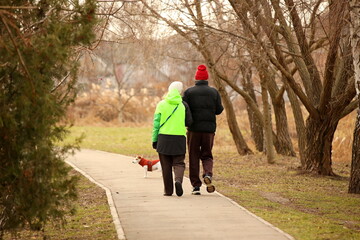 A man and a woman walk arm in arm along an alley of an autumn park, walking their four-legged...