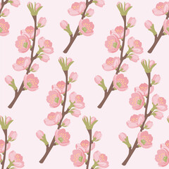 Blossomed apricot branch seamless pattern.Blooming floral plant, spring. Floral pattern for wallpaper or fabric. Vector Illustration