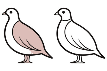A Pair of Simple Line Drawings of a Bird Possibly a Quail or Partridge Coloring Page Illustration