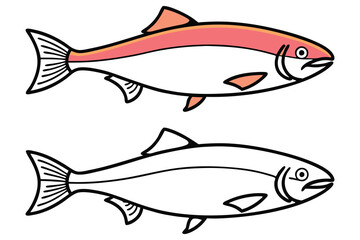 Two Illustrations of Salmon Fish One Colored and One Outlined for Coloring