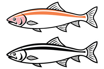 Two illustrations of salmon fish one with orange stripe one without