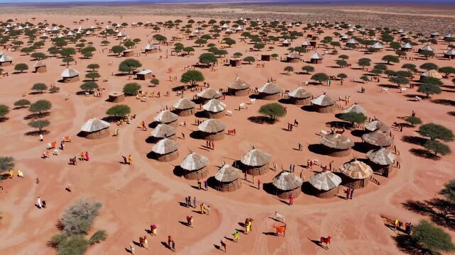 Explore a vibrant settlement in the desert surrounded by unique huts and lush vegetation