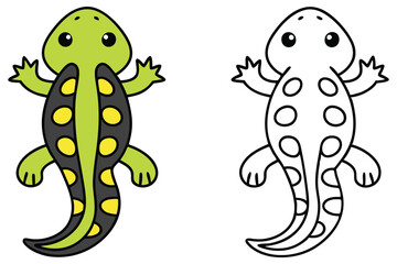 Adorable Cartoon Newt Illustration with Coloring Page a Fun Amphibian for Kids Learning and Activities