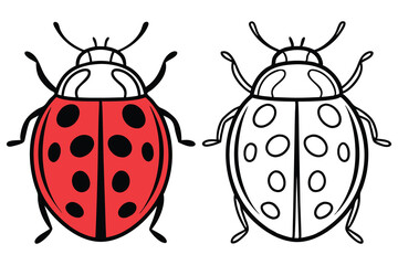 A Colorful Ladybug and Its Outline for Coloring A Perfect Illustration for Kids Activities and Educational Materials