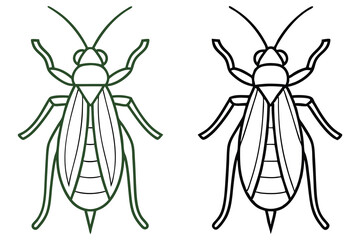 Two Line Drawings of Insects Showing Detailed Body Parts Wings Legs Antennae