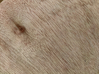 wood texture background with natural figure, wooden panels surface for ceramic wall tile design and floor tile design