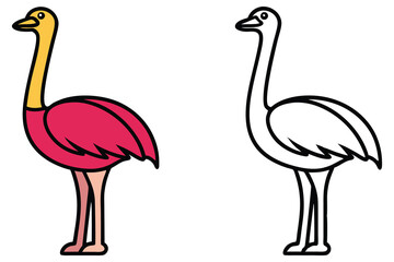 flamingo vector illustration