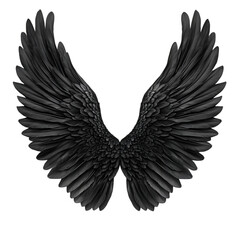 Obraz premium Majestic Dark Wings Powerful Flight Mysterious Beauty