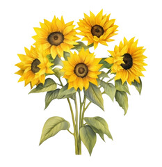 Naklejka premium PNG Sunflower plant inflorescence invertebrate.