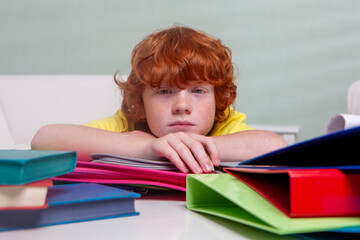 Home Study. A young 10 year-old boy overwhelmed by the amount of homework he has to do after school.