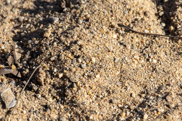 The texture of the sand