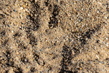 The texture of the sand