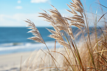 extraordinary sea oats, flourishing amidst sandy realm of sand dunes, their elegant figures and windswept textures a testament to their unwavering strength and vital contribution in fortifying these l