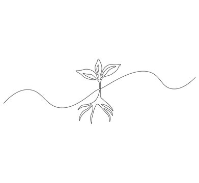 Plant growth outline drawing illustration. Continuous line draw small plant vector.