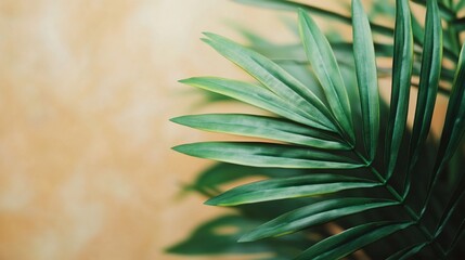 Fototapeta premium Green palm frond against beige background; home decor