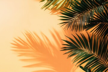 palm tree shadows on pastel orange background wall mockup isolated on white background