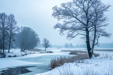 Winter Season Snow Abstract Cold Background Design