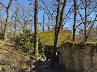 an old wooden hut in the forest overgrown with moss