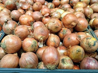 onions in the market