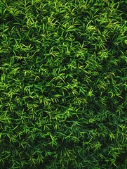 Fototapeta premium Enjoy a seamless backdrop of lush, deep green artificial grass with subtle texture variations under soft lighting