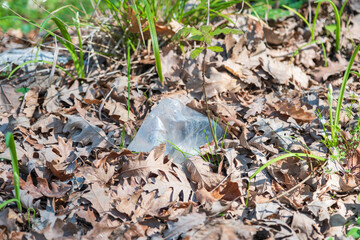 Fragile Plastic Amid Autumn Decay Highlights Pollution Crisis