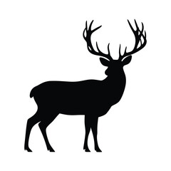 Fototapeta premium Deer Silhouette Vector - Elegant Stag with Antlers Isolated on White