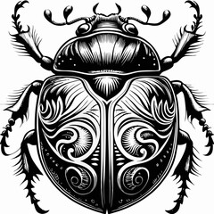 a detailed artistic drawing of an elegant beetle. The illustration is a black and white design, highlighting intricate patterns and textures