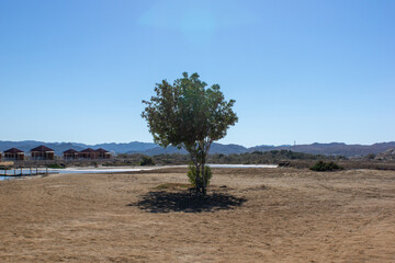 Widok na G&oacute;ry Fioletowe. Egipt