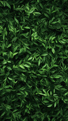 A lush, dense arrangement of vibrant green leaves creating a natural, organic texture for a high-quality phone wallpaper.

