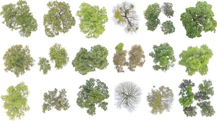 Aerial view of Trees on a white background, use nature