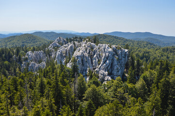 White rocks surrounded with spruce trees at Samarian rocks area