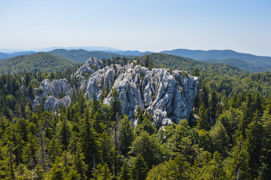 White rocks surrounded with spruce trees at Samarian rocks area