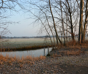 Frostiger Wintermorgen