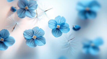 Blue flowers and delicate plumes floating softly in serene background of nature's beauty captured in springtime ambiance