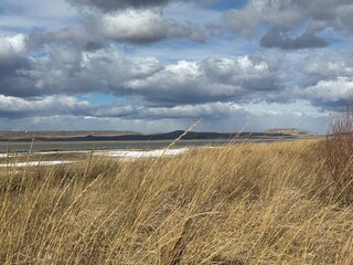 Fototapeta premium Grassy lake shore
